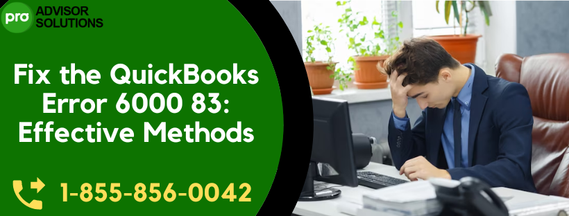 QuickBooks Error 6000 83
