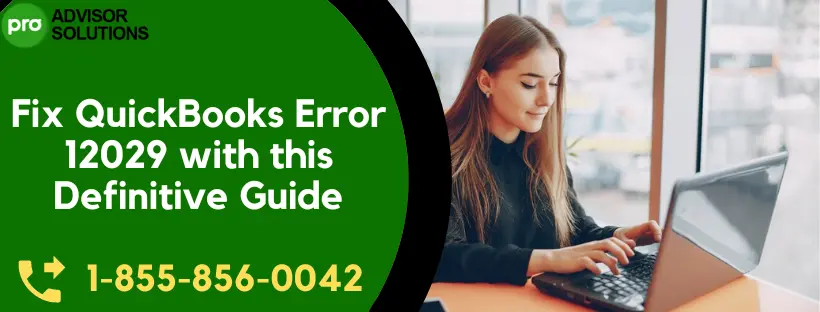 QuickBooks Error 12029