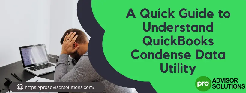 QuickBooks Condense Data Utility